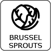 Brussel Sprouts
