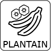 Plantain