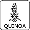 Quinoa