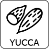 Yucca