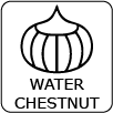 Water Chestnut